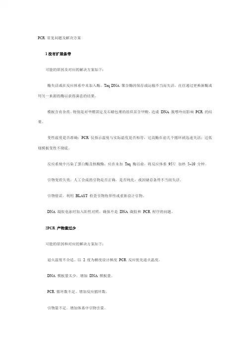 PCR 常见问题及解决方案