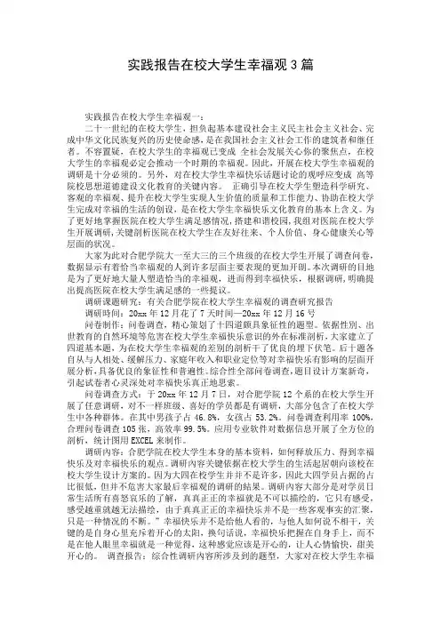 实践报告在校大学生幸福观3篇