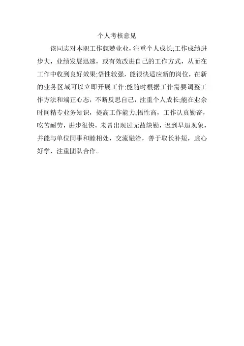 个人年度考核意见