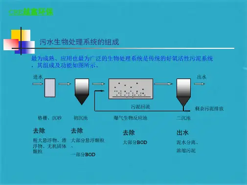 iceas污水处理工艺技术资料(共43张PPT)
