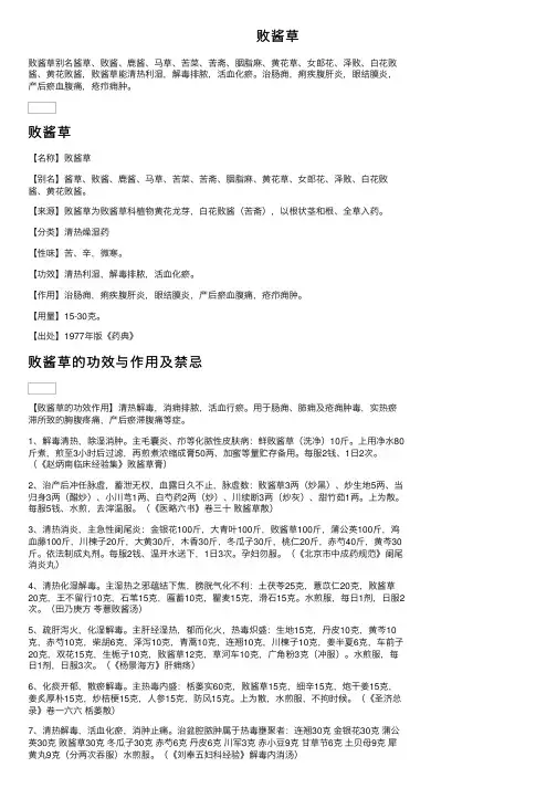 败酱草——精选推荐
