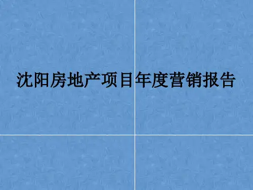 沈阳房地产项目年度营销报告