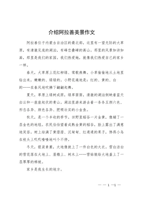介绍阿拉善美景作文
