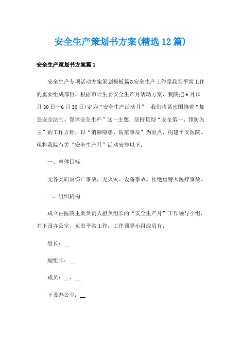 安全生产策划书方案(精选12篇)