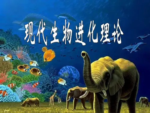 高中生物核心概念高考复习课件—现代生物进化理论
