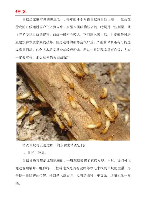 如何灭白蚁