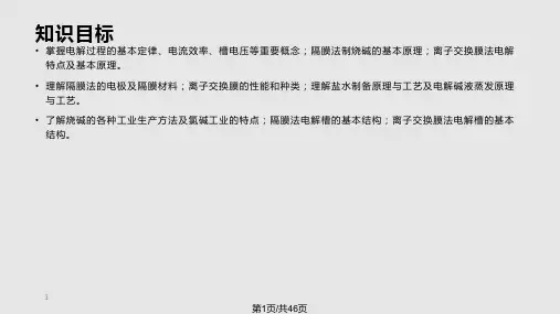 电解法生产烧碱PPT课件