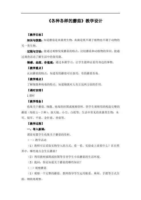 《各种各样的蘑菇》设计