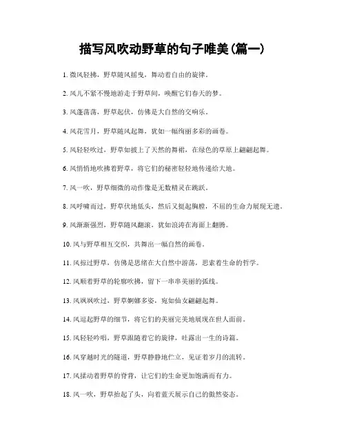 描写风吹动野草的句子唯美(精选合集2篇)