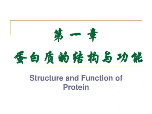 蛋白质的结构与功能