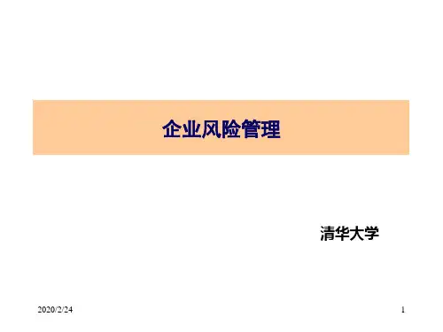 企业风险管理 PPT课件