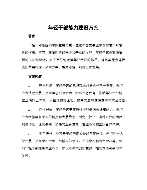 年轻干部能力建设方案