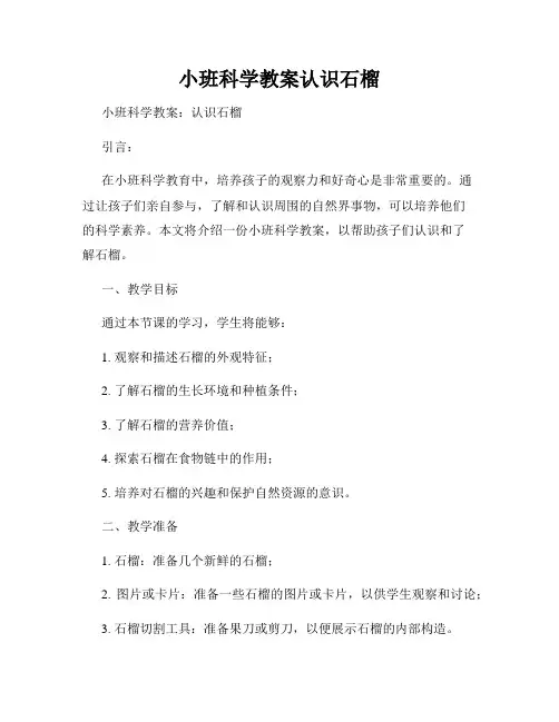 小班科学教案认识石榴
