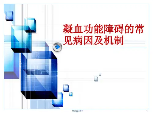 凝血功能障碍及机制ppt课件