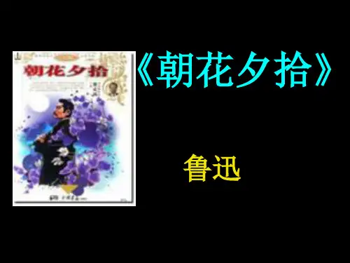 八年级上册名著阅读