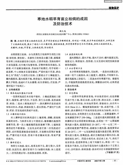 寒地水稻旱育苗立枯病的成因及防治技术