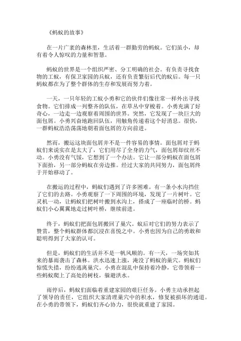 优秀精选：蚂蚁的故事作文