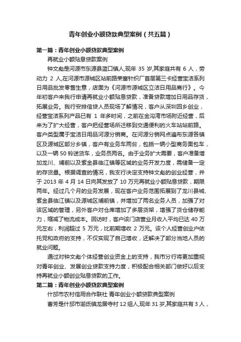青年创业小额贷款典型案例（共五篇）