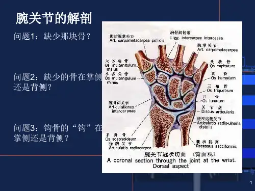 腕关节常见骨折与摄影方法