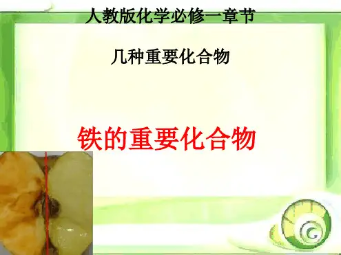 人教版高中化学必修一