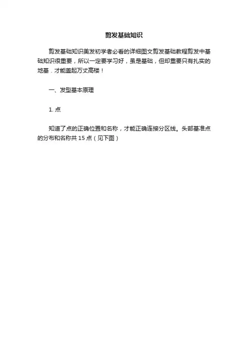 剪发基础知识