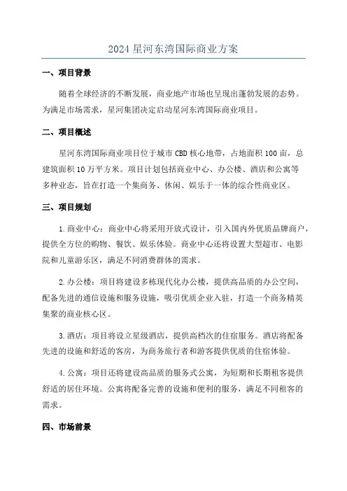 2024星河东湾国际商业方案