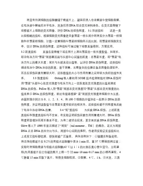 @单细胞凝胶电泳
