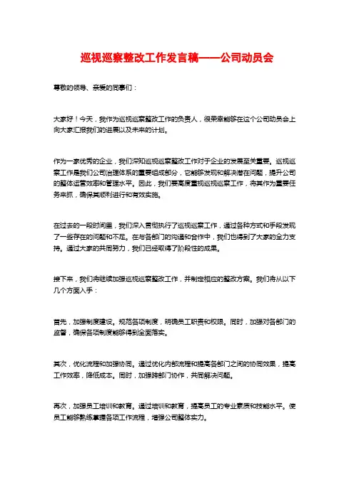 巡视巡察整改工作发言稿——公司动员会