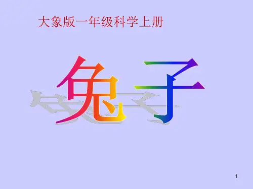 一年级上册科学课件-兔子 大象版 (12页PPT)