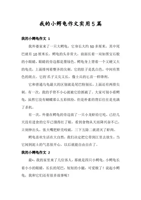 我的小鳄龟作文实用5篇