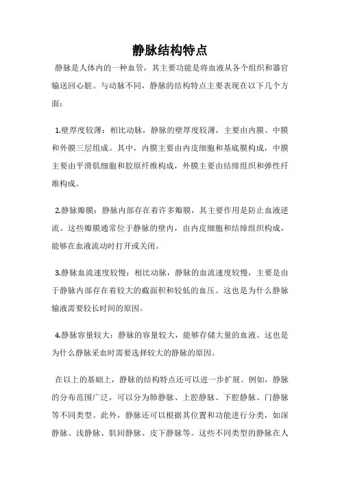 静脉结构特点