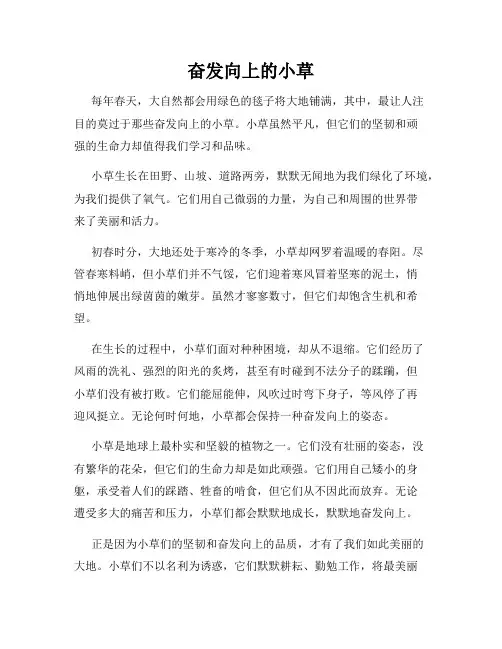 奋发向上的小草
