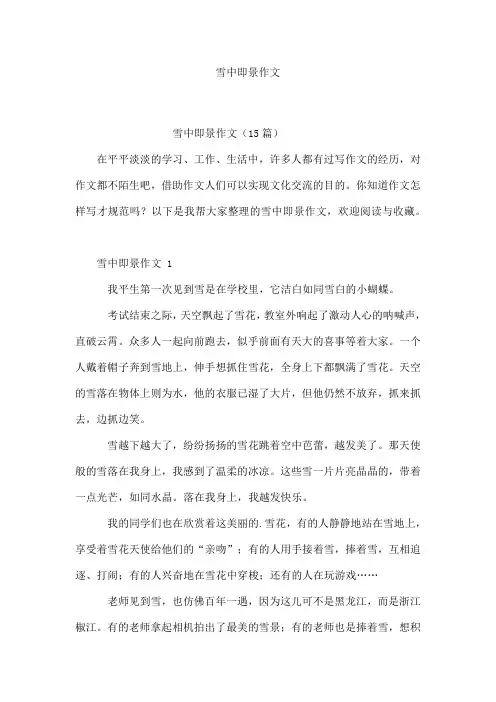 雪中即景作文