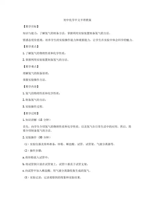初中化学半文半理教案