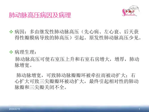 肺动脉高压的超声估测量方法ppt课件