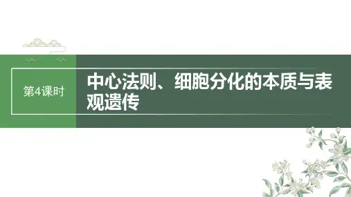 生物课件(苏教版)第六单元第5课时中心法则细胞分化的本质与表观遗传