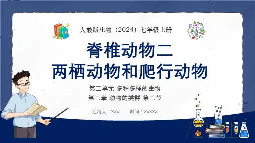 人教版七年级生物上册《两栖动物和爬行动物》教学课件