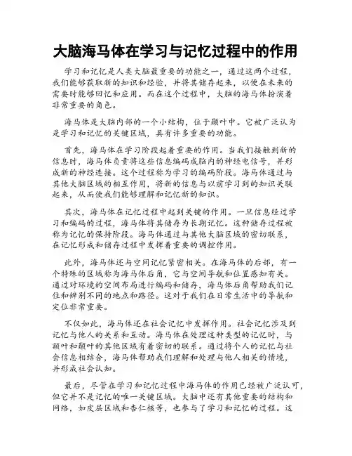 大脑海马体在学习与记忆过程中的作用
