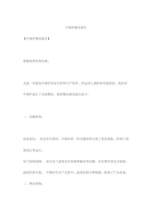 中频炉整改报告