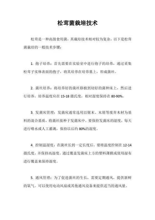 松茸菌栽培技术