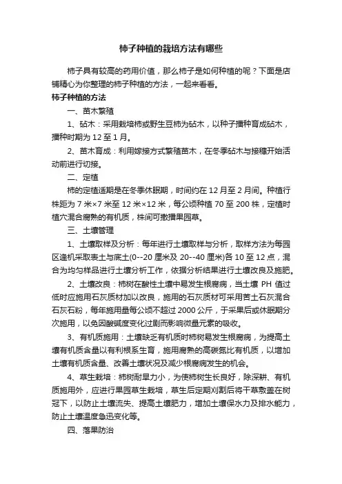 柿子种植的栽培方法有哪些