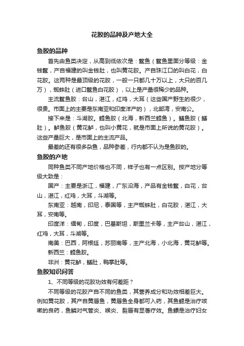 花胶的品种及产地大全