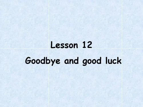 新概念英语第二册Lesson12goodbyeandgoodluck课件