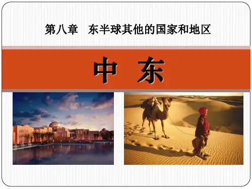 《中东》东半球其他的地区和国家PPT课件四