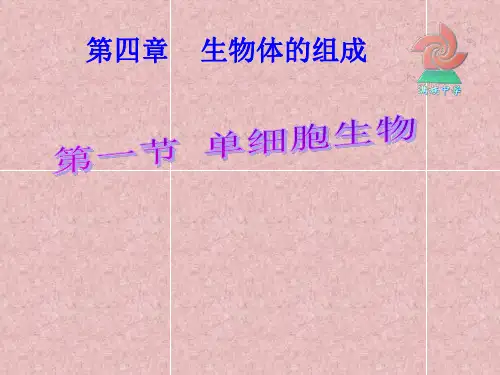 苏教版初中生物七年级上册 2.4.1 单细胞生物 课件(共17张PPT) (1)