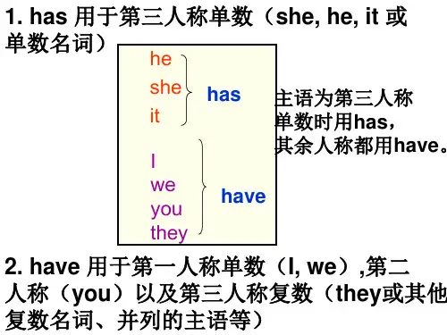 have和has的用法讲解及练习资料共16页