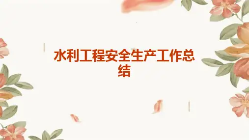 水利工程安全生产工作总结PPT