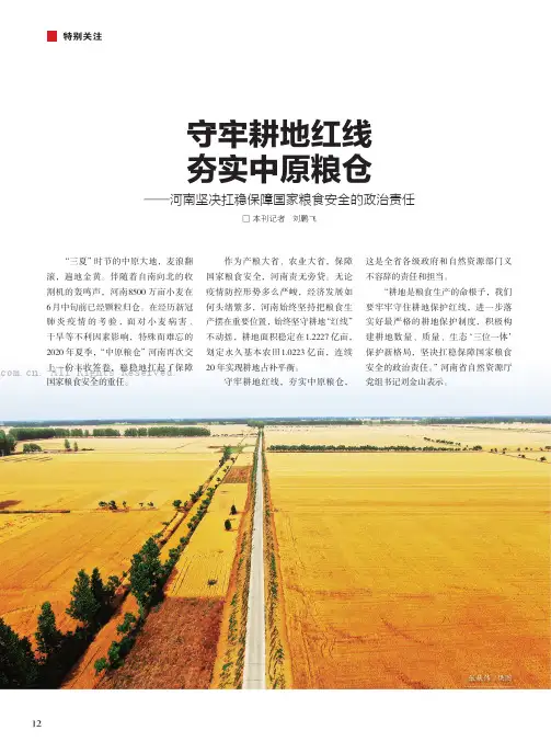 守牢耕地红线 夯实中原粮仓——河南坚决扛稳保障国家粮食安全的政治责任