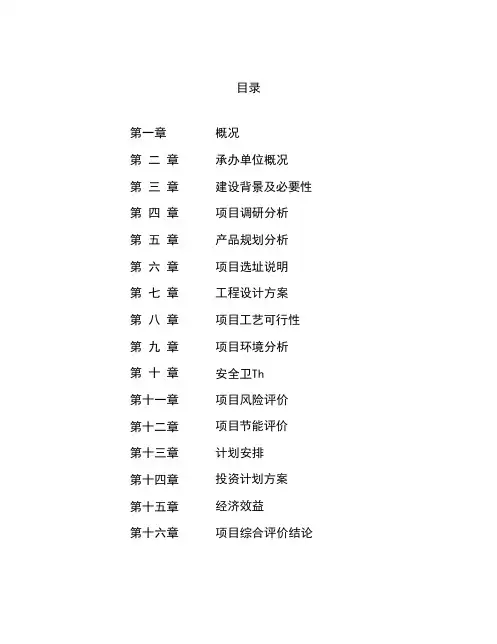矿业投资项目可行性报告(投资分析)( word 版)