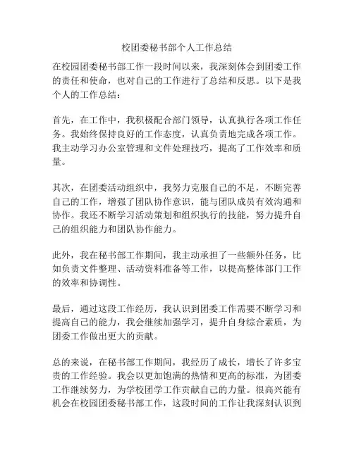 校团委秘书部个人工作总结